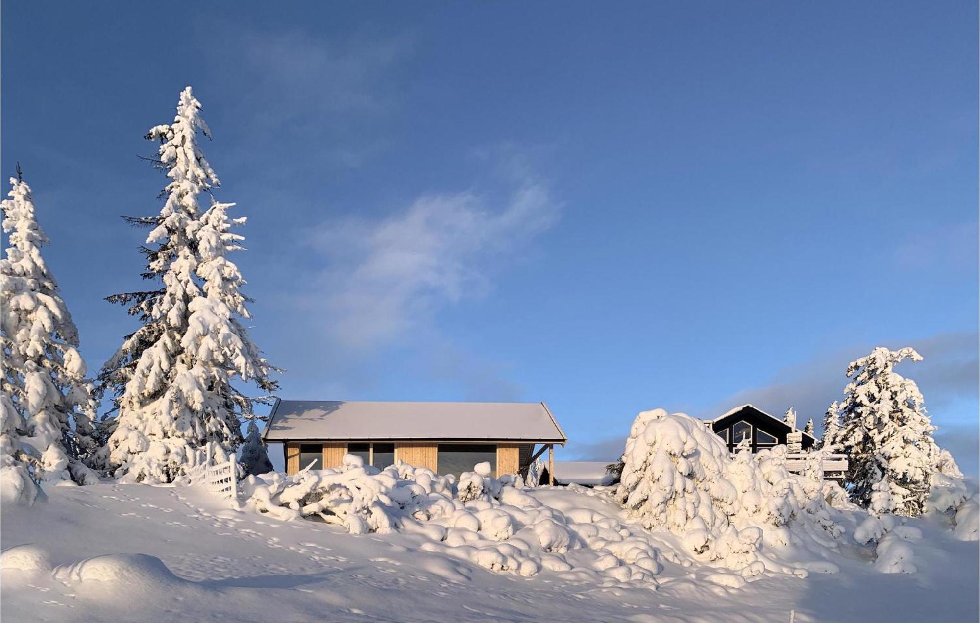 Amazing Home In Sjusjoen With Kitchen Exterior foto